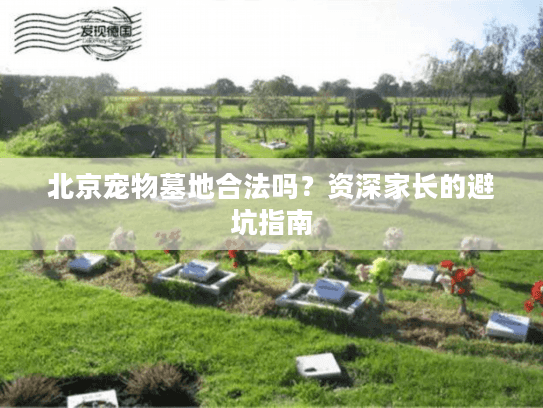 北京宠物墓地合法吗?资深家长的避坑指南 北京宠物墓地合法吗?资深家长的避坑指南