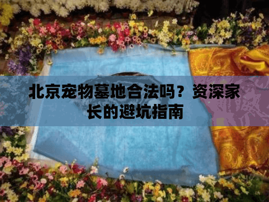 北京宠物墓地合法吗?资深家长的避坑指南 北京宠物墓地合法吗?资深家长的避坑指南