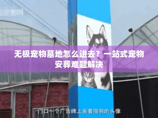 无极宠物墓地怎么进去？一站式宠物安葬难题解决