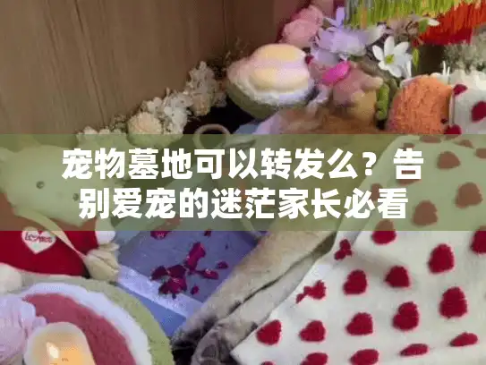 宠物墓地可以转发么？告别爱宠的迷茫家长必看