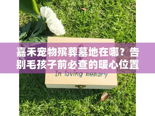 嘉禾宠物殡葬墓地在哪？告别毛孩子前必查的暖心位置