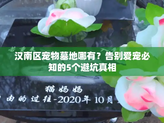 汉南区宠物墓地哪有？告别爱宠必知的5个避坑真相