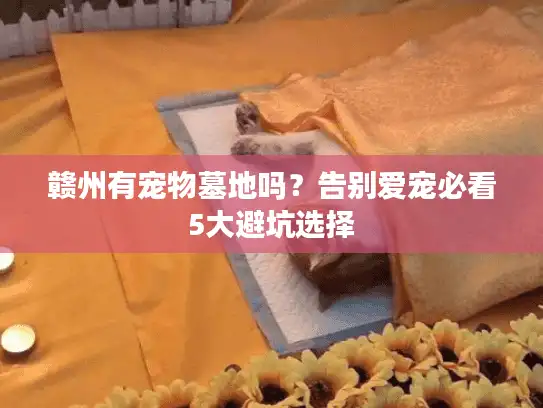 赣州有宠物墓地吗?告别爱宠必看5大避坑选择 赣州有宠物墓地吗?告别爱宠必看5大避坑选择