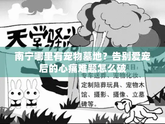 南宁哪里有宠物墓地？告别爱宠后的心痛难题怎么破