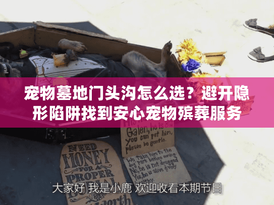 宠物墓地门头沟怎么选？避开隐形陷阱找到安心宠物殡葬服务