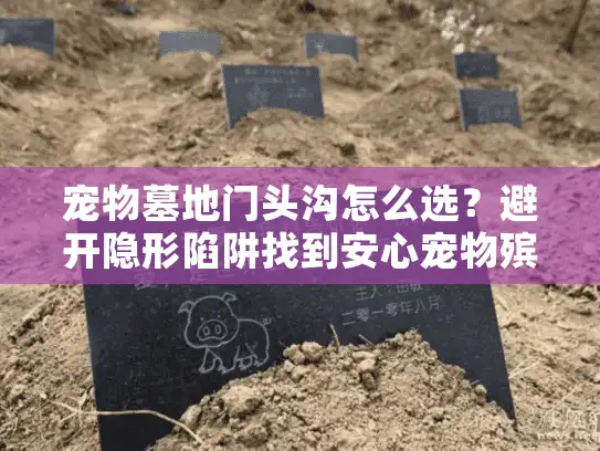 宠物墓地门头沟怎么选？避开隐形陷阱找到安心宠物殡葬服务