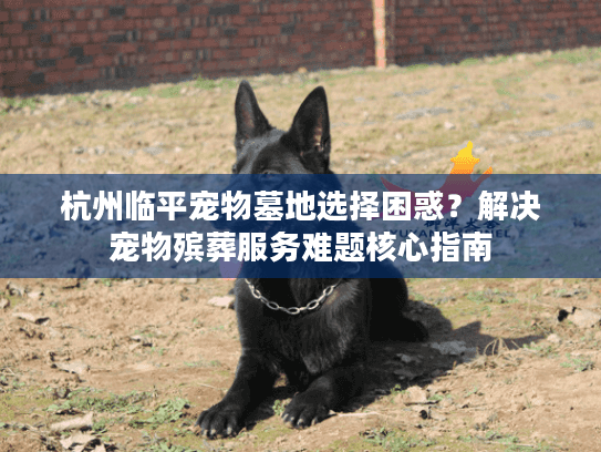 杭州临平宠物墓地选择困惑?解决宠物殡葬服务难题核心指南 杭州临平宠物墓地选择困惑?解决宠物殡葬服务难题核心指南