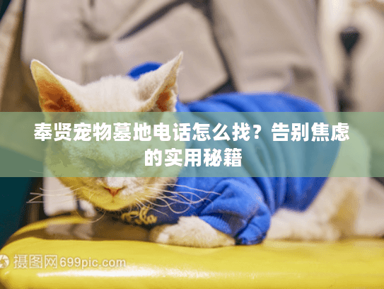 奉贤宠物墓地电话怎么找？告别焦虑的实用秘籍