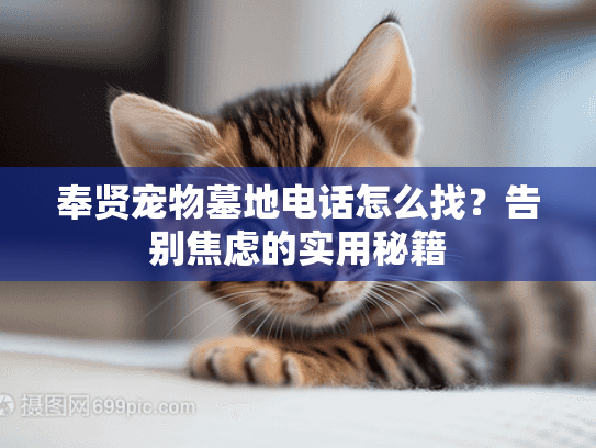 奉贤宠物墓地电话怎么找？告别焦虑的实用秘籍