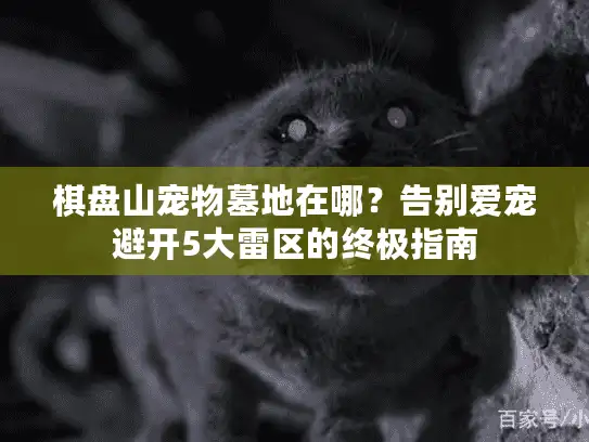 棋盘山宠物墓地在哪？告别爱宠避开5大雷区的终极指南