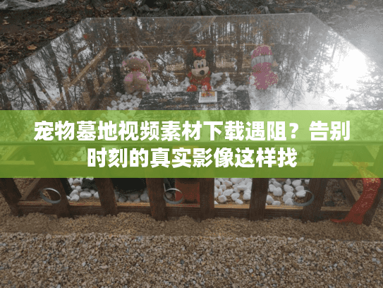宠物墓地视频素材下载遇阻?告别时刻的真实影像这样找 宠物墓地视频素材下载遇阻?告别时刻的真实影像这样找