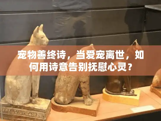 宠物善终诗，当爱宠离世，如何用诗意告别抚慰心灵？