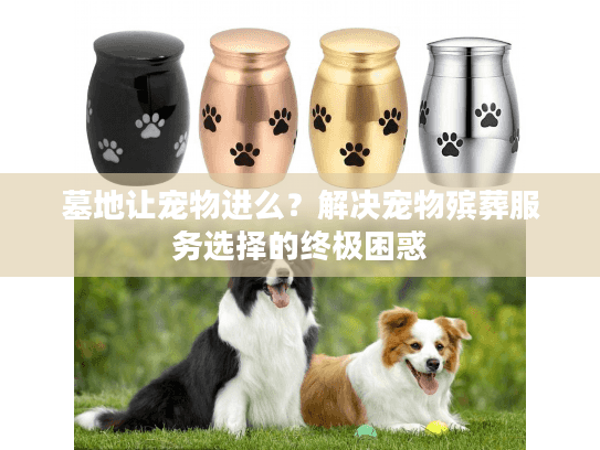 墓地让宠物进么？解决宠物殡葬服务选择的终极困惑