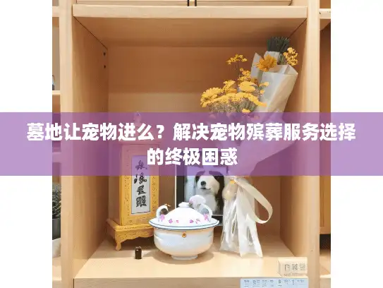 墓地让宠物进么？解决宠物殡葬服务选择的终极困惑