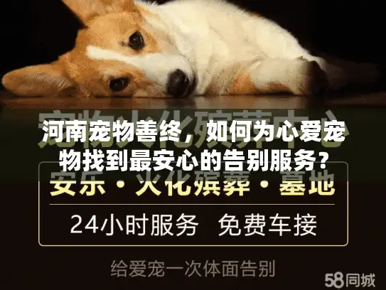 河南宠物善终，如何为心爱宠物找到最安心的告别服务？