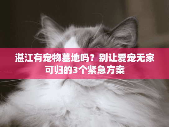 湛江有宠物墓地吗?别让爱宠无家可归的3个紧急方案 湛江有宠物墓地吗?别让爱宠无家可归的3个紧急方案