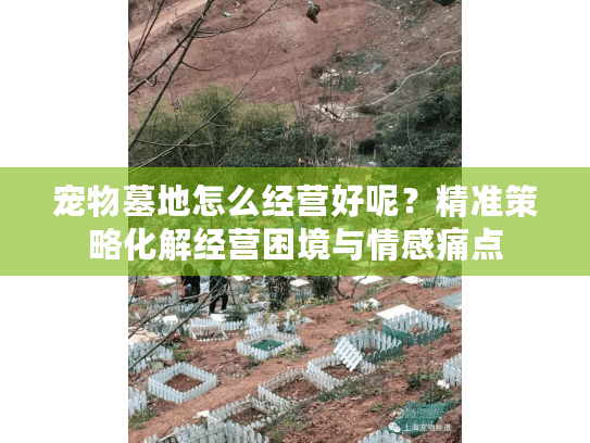 宠物墓地怎么经营好呢？精准策略化解经营困境与情感痛点
