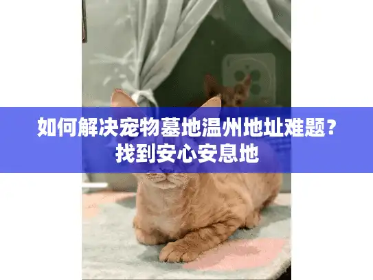 如何解决宠物墓地温州地址难题？找到安心安息地