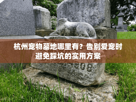 杭州宠物墓地哪里有？告别爱宠时避免踩坑的实用方案