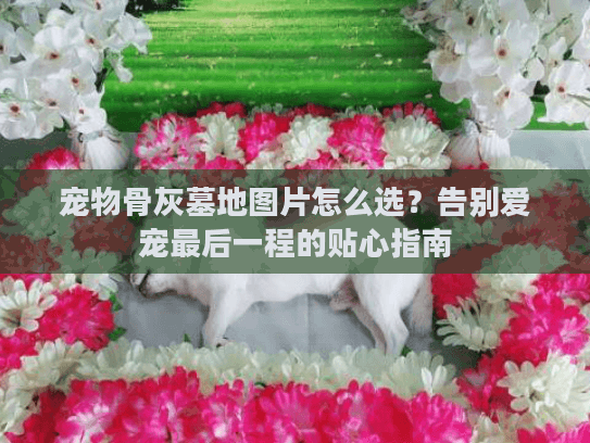 宠物骨灰墓地图片怎么选？告别爱宠最后一程的贴心指南