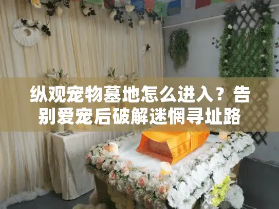 纵观宠物墓地怎么进入？告别爱宠后破解迷惘寻址路