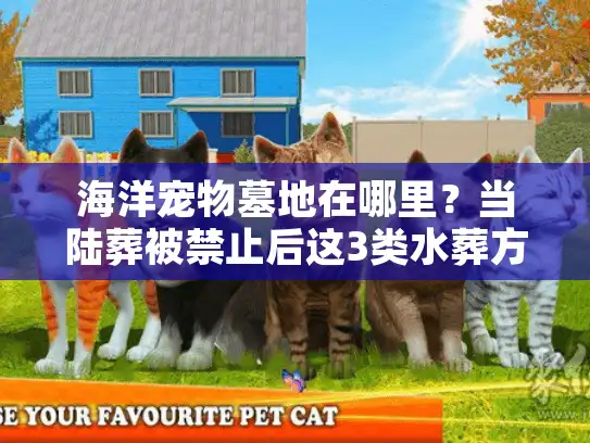 海洋宠物墓地在哪里？当陆葬被禁止后这3类水葬方案能真正送ta入海