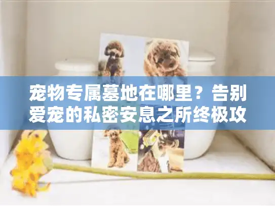 宠物专属墓地在哪里？告别爱宠的私密安息之所终极攻略