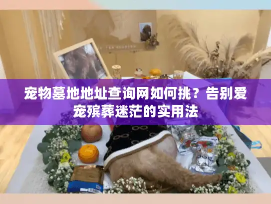 宠物墓地地址查询网如何挑?告别爱宠殡葬迷茫的实用法 宠物墓地地址查询网如何挑?告别爱宠殡葬迷茫的实用法