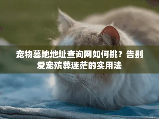 宠物墓地地址查询网如何挑?告别爱宠殡葬迷茫的实用法 宠物墓地地址查询网如何挑?告别爱宠殡葬迷茫的实用法