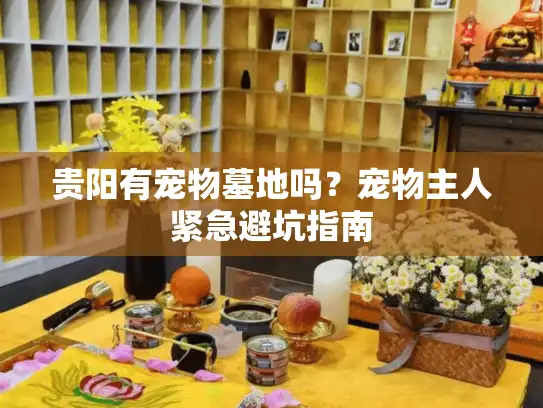 贵阳有宠物墓地吗？宠物主人紧急避坑指南