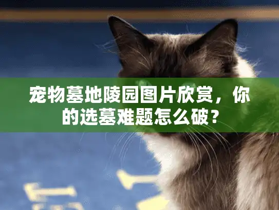 宠物墓地陵园图片欣赏,你的选墓难题怎么破? 宠物墓地陵园图片欣赏,你的选墓难题怎么破?