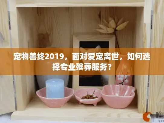 宠物善终2019，面对爱宠离世，如何选择专业殡葬服务？