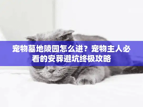 宠物墓地陵园怎么进？宠物主人必看的安葬避坑终极攻略