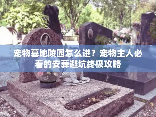 宠物墓地陵园怎么进？宠物主人必看的安葬避坑终极攻略