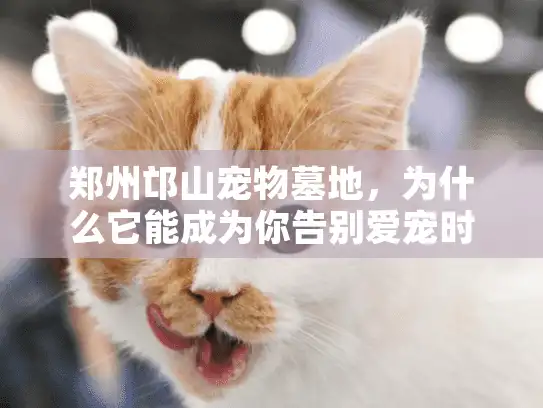 郑州邙山宠物墓地，为什么它能成为你告别爱宠时的安心之选？