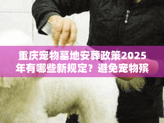重庆宠物墓地安葬政策2025年有哪些新规定？避免宠物殡葬服务选择误区！