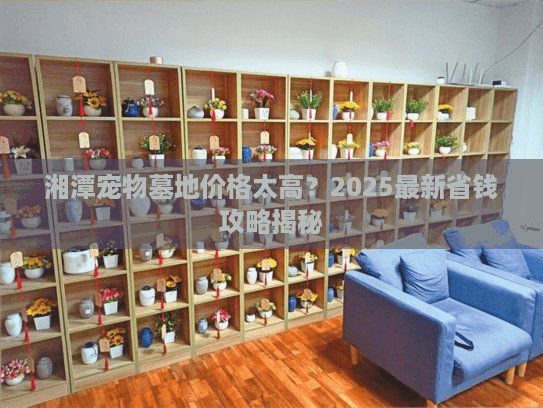 湘潭宠物墓地价格太高？2025最新省钱攻略揭秘