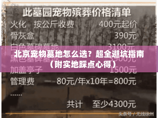 北京宠物墓地怎么选?超全避坑指南(附实地踩点心得) 北京宠物墓地怎么选?超全避坑指南(附实地踩点心得)