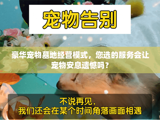 豪华宠物墓地经营模式，您选的服务会让宠物安息遗憾吗？