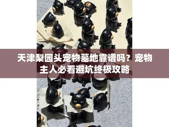 天津梨园头宠物墓地靠谱吗?宠物主人必看避坑终极攻略 天津梨园头宠物墓地靠谱吗?宠物主人必看避坑终极攻略