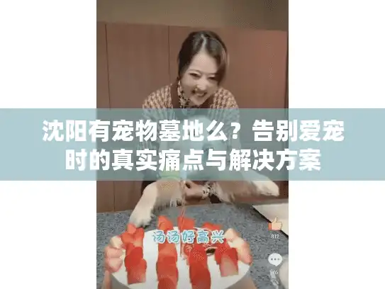 沈阳有宠物墓地么？告别爱宠时的真实痛点与解决方案