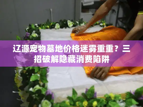 辽源宠物墓地价格迷雾重重？三招破解隐藏消费陷阱