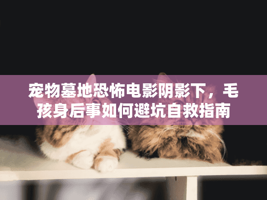 宠物墓地恐怖电影阴影下，毛孩身后事如何避坑自救指南