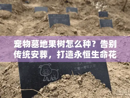 宠物墓地果树怎么种？告别传统安葬，打造永恒生命花园