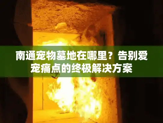 南通宠物墓地在哪里？告别爱宠痛点的终极解决方案