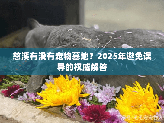 慈溪有没有宠物墓地？2025年避免误导的权威解答
