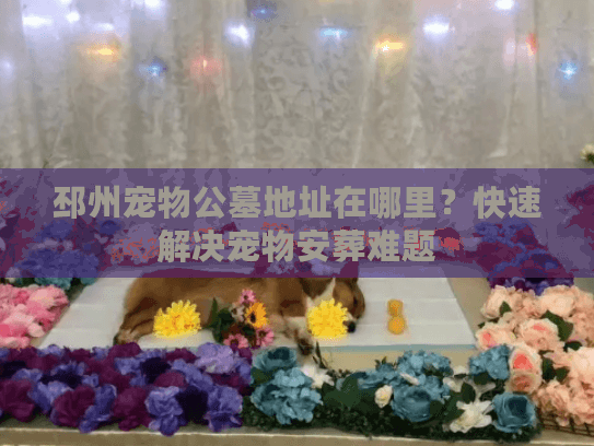 邳州宠物公墓地址在哪里？快速解决宠物安葬难题
