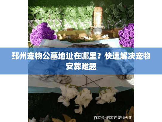邳州宠物公墓地址在哪里？快速解决宠物安葬难题