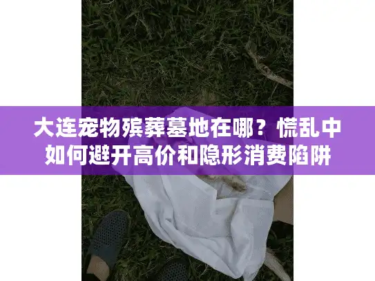大连宠物殡葬墓地在哪？慌乱中如何避开高价和隐形消费陷阱