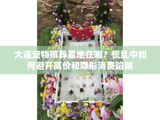 大连宠物殡葬墓地在哪？慌乱中如何避开高价和隐形消费陷阱